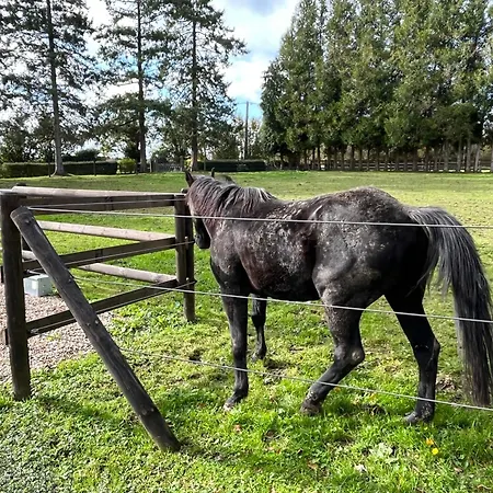 Le Domaine Des Volets Bleus