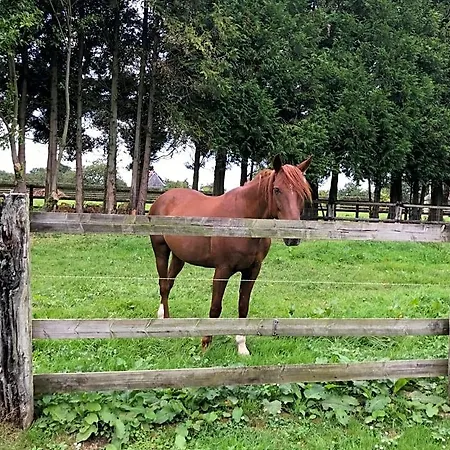 Le Domaine Des Volets Bleus Beuzeville
