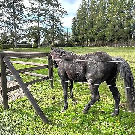 Le Domaine Des Volets Bleus 3*