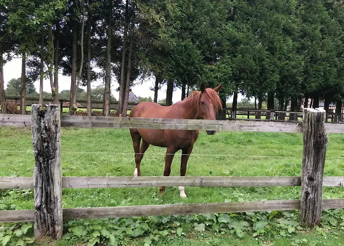 Le Domaine Des Volets Bleus Отель типа 