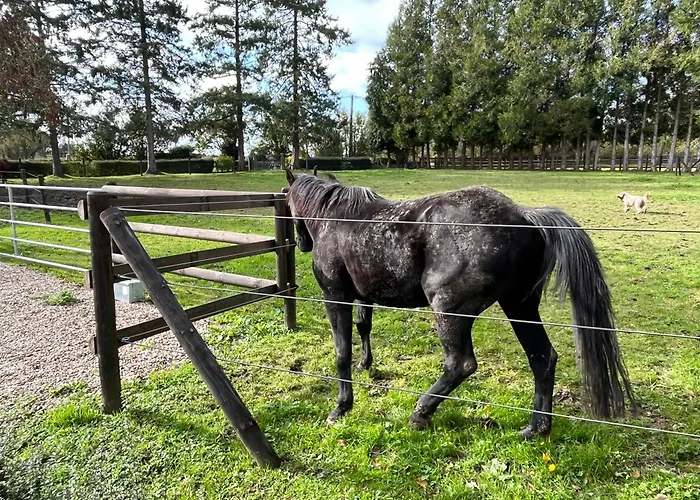 Le Domaine Des Volets Bleus